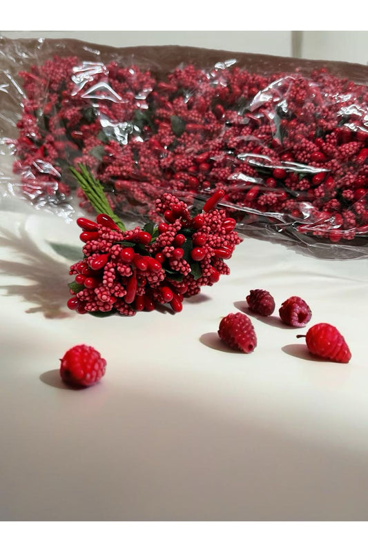 Kırmızı Pıtırcık Yılbaşı Süsleme Tohum Pıtırcık 144 lü 1 paket