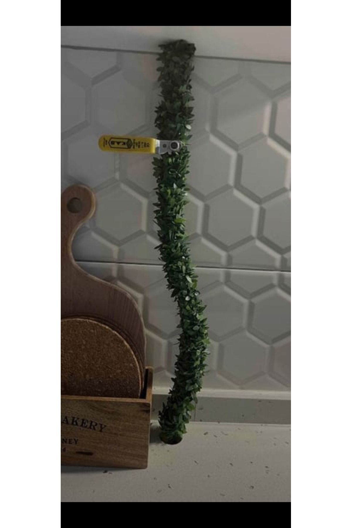 Doğalgaz borusu gizleme sarmaşığı 1 metre