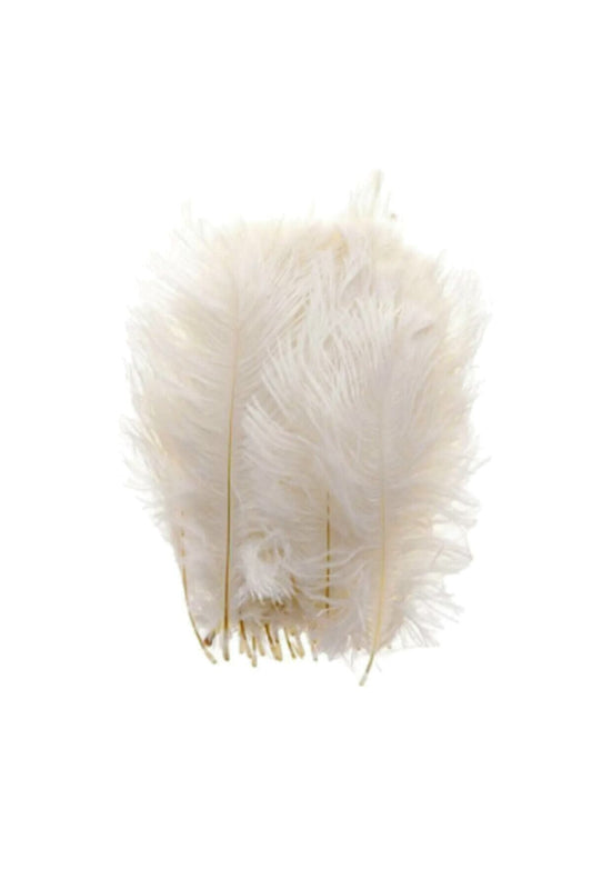 100 Stück Vogelfeder-Hochzeitsgeschenke, Verlobungsfächer-Dekorationsmaterial, cremefarben