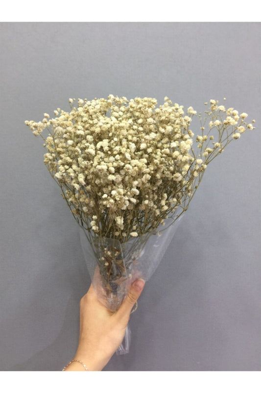 Cream Shock Natural Gypso 50gr Auslaufsichere Trockencreme Blumensorten