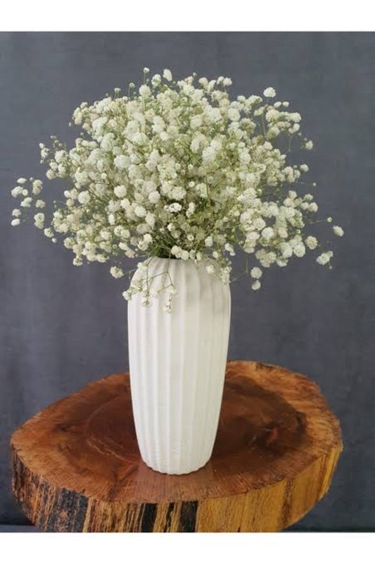 Natürlich geschockter Gips ~ Frühlingsdekorblume