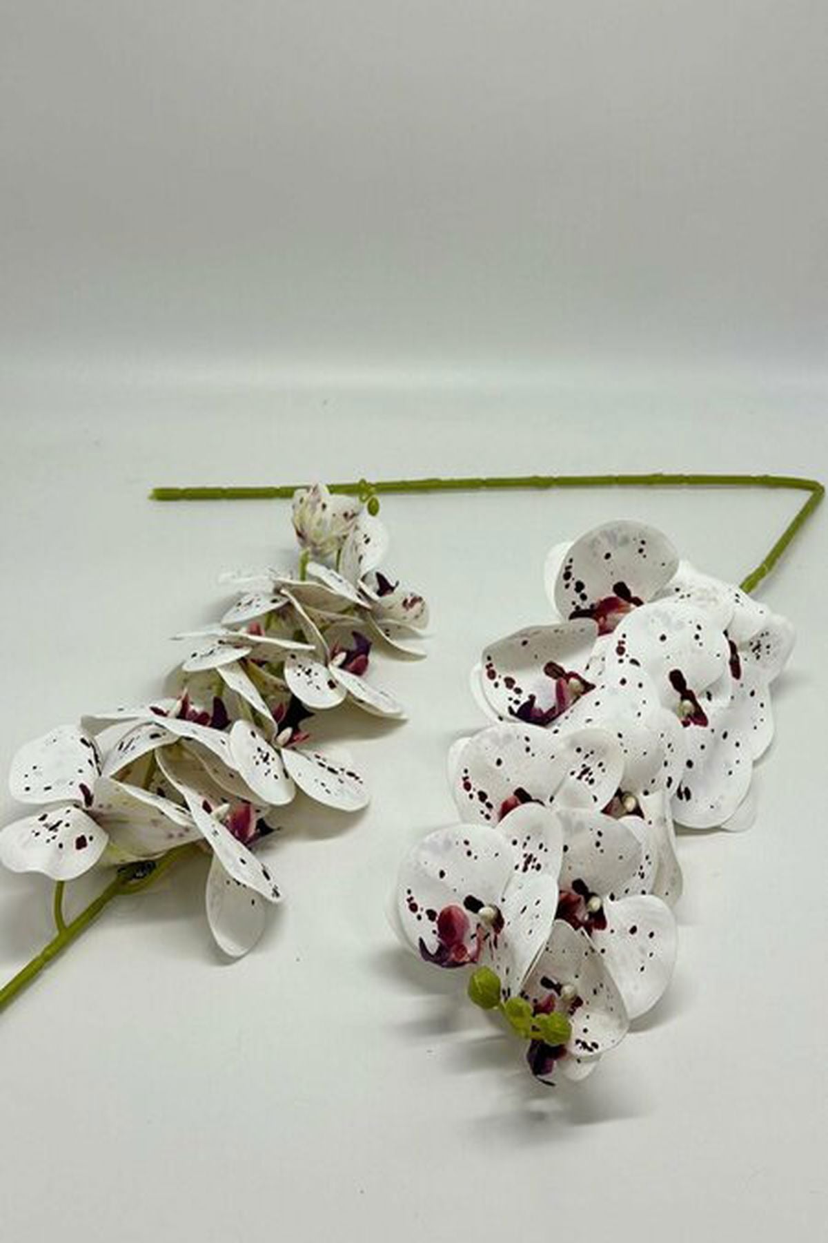 9-köpfige Orchidee im Wet-Look – realistische Kunstblume