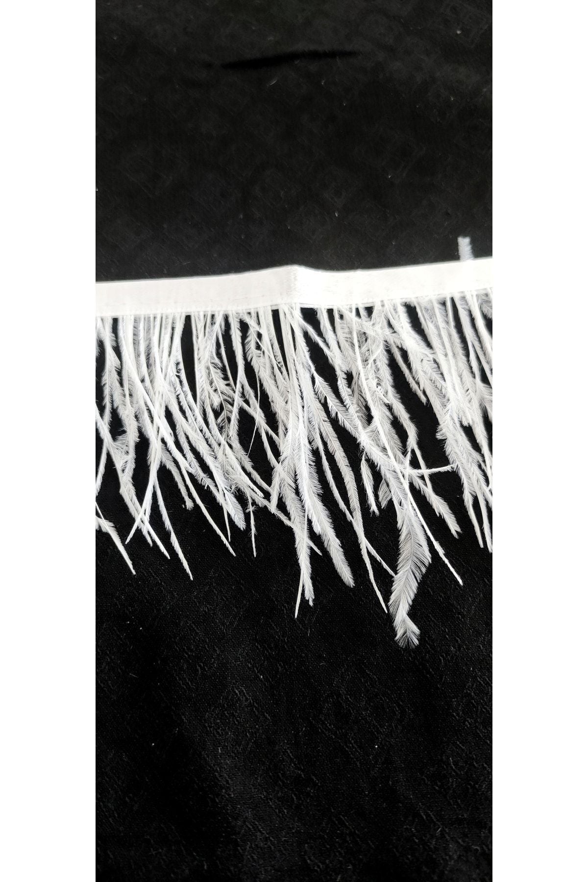 Straußenfederstreifen Weiß (9 cm)