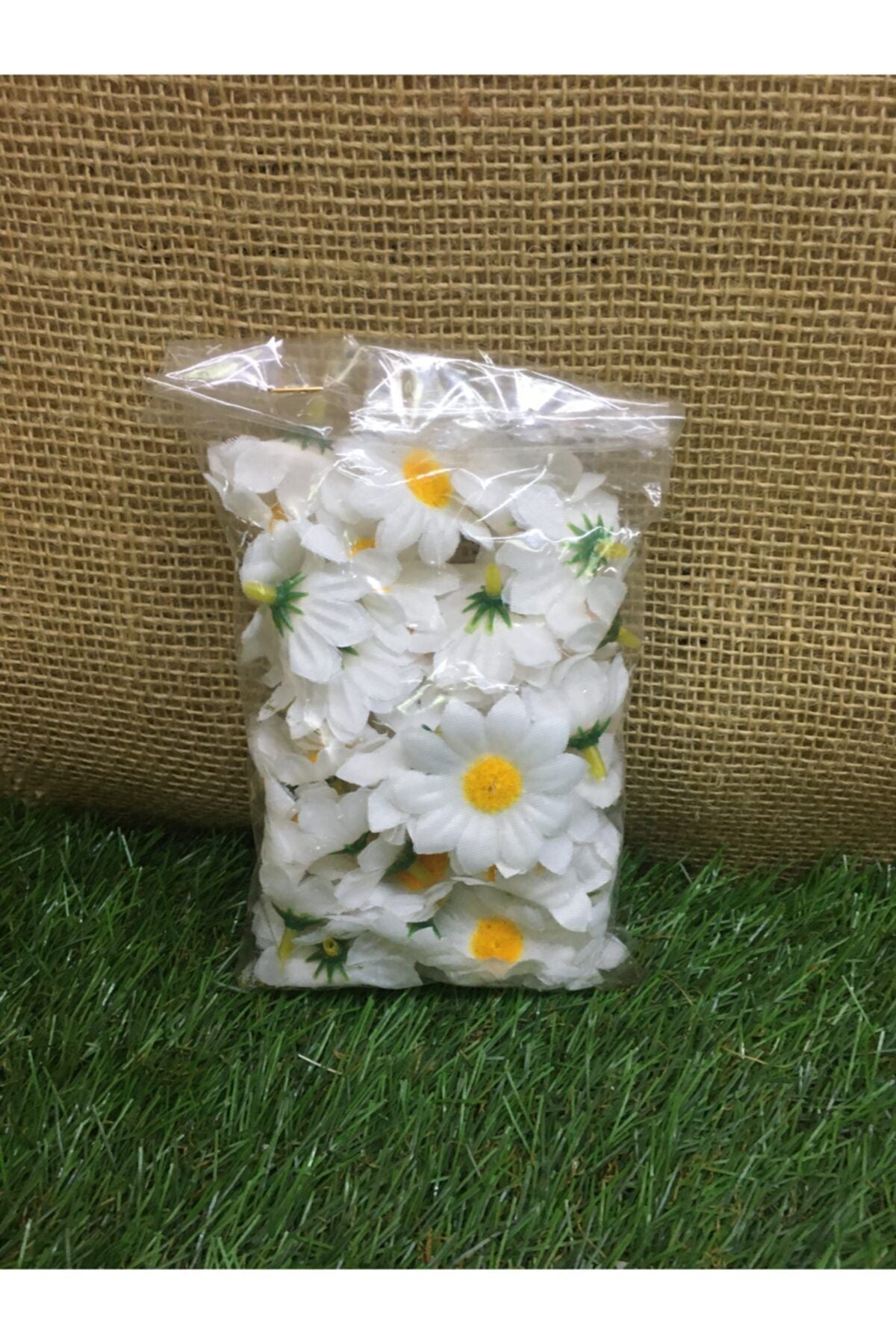 25 Mini-Gänseblümchen-Paket