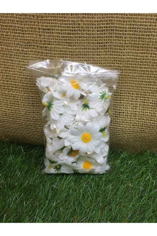 25'li Mini Papatya Paketli