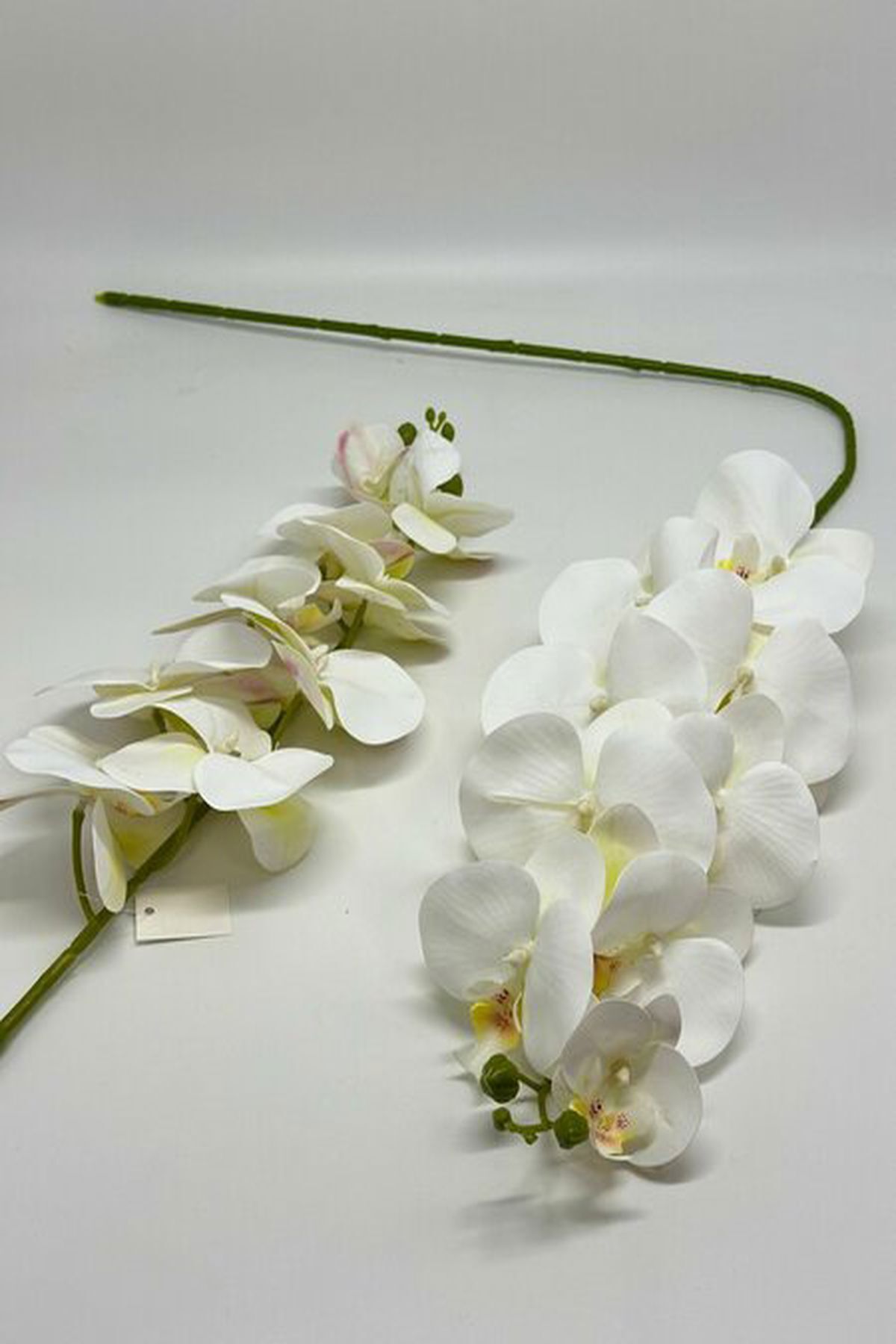 9-köpfige Orchidee im Wet-Look – realistische Kunstblume