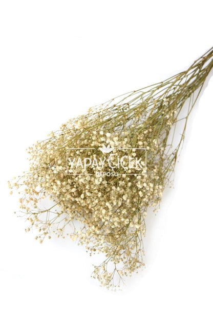 Cream Shock Natural Gypso 50gr Auslaufsichere Trockencreme Blumensorten